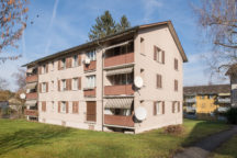 Dübendorfstrasse 161